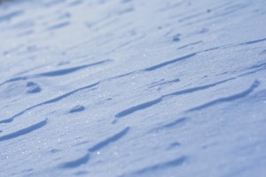 Blue snow blanket in the evening light by Codrina Miculit